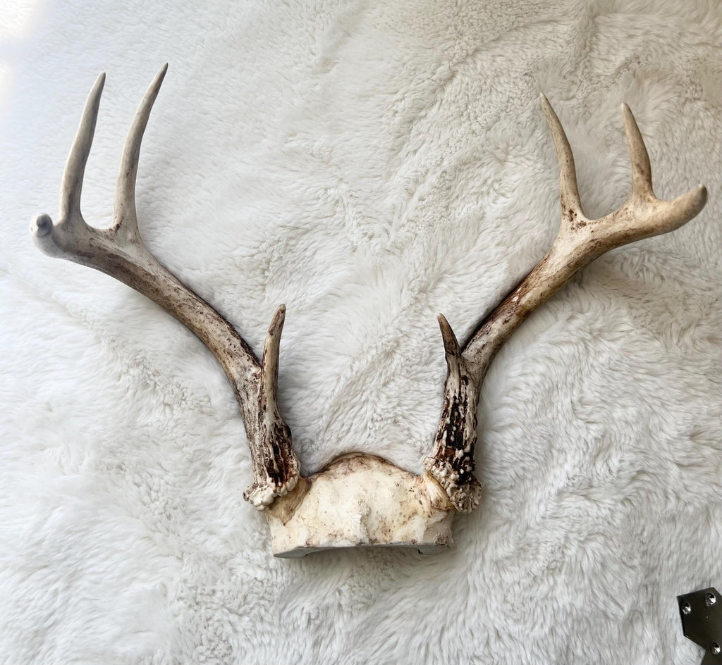 Ochosi Set with Deer Antlers, Tools, and Decorated Plate