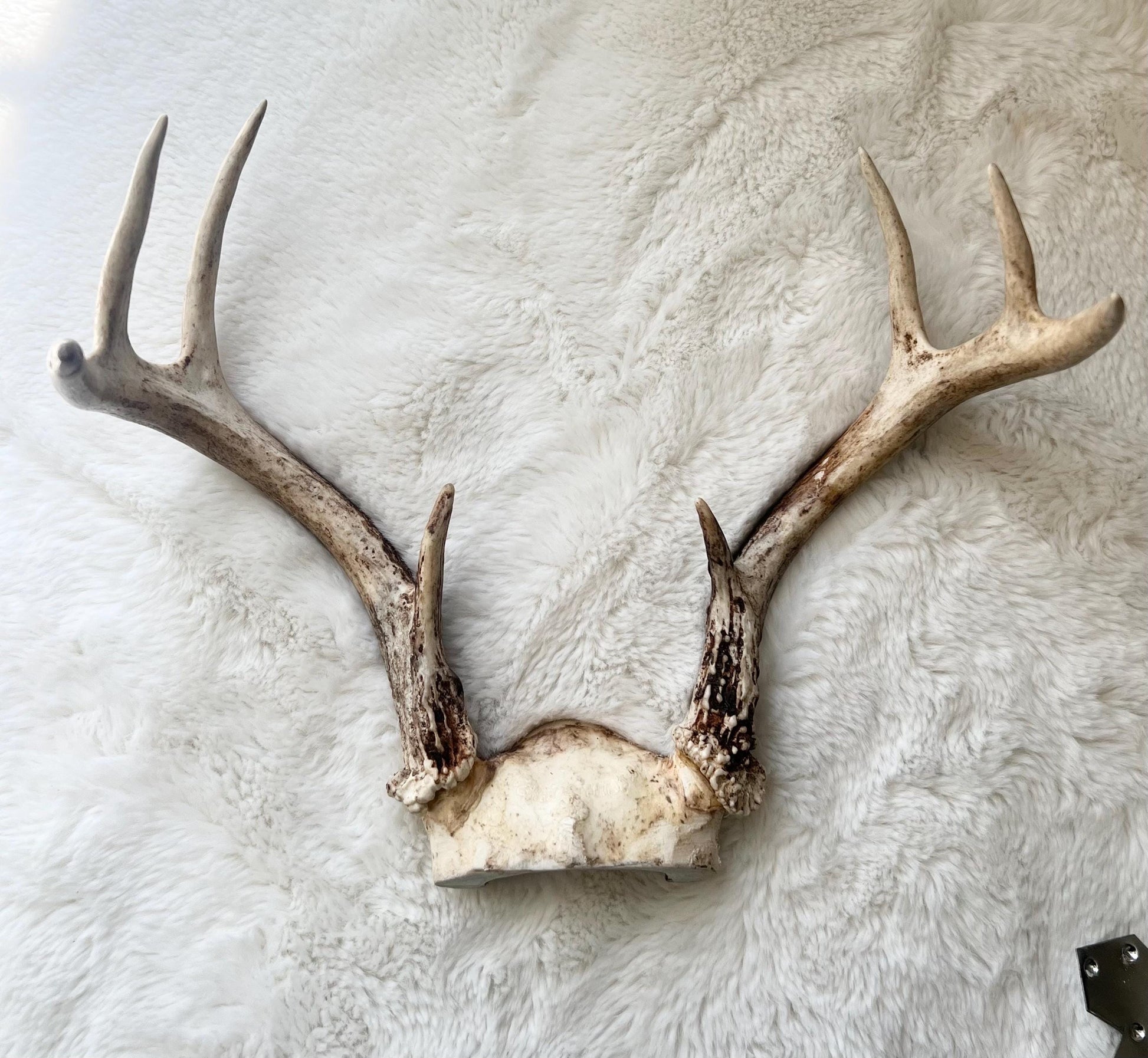 Ochosi Set with Deer Antlers, Tools, and Decorated Plate