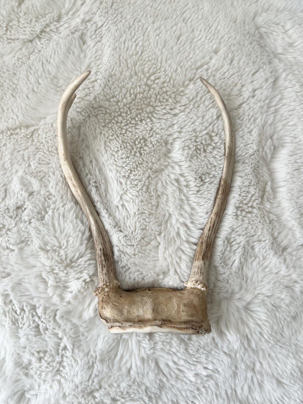 Ochosi Set with Deer Antlers, Tools, and Decorated Plate