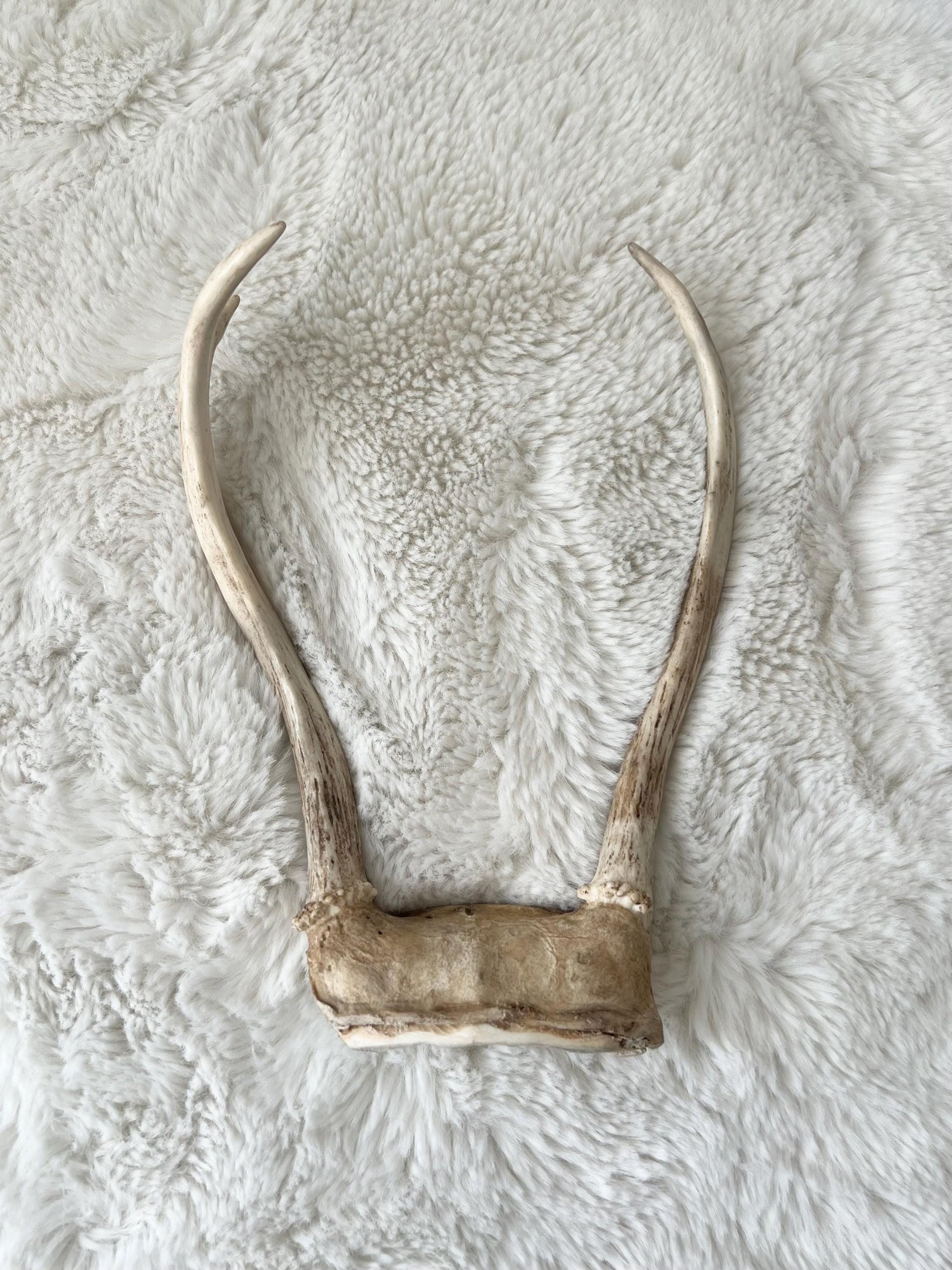 Ochosi Set with Deer Antlers, Tools, and Decorated Plate