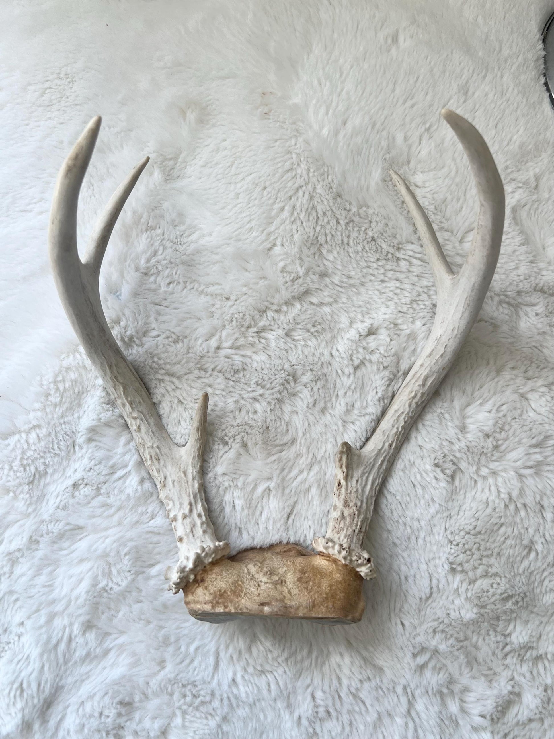 Ochosi Set with Deer Antlers, Tools, and Decorated Plate
