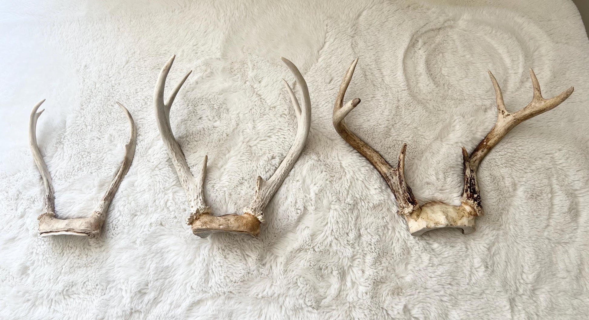 Ochosi Set with Deer Antlers, Tools, and Decorated Plate